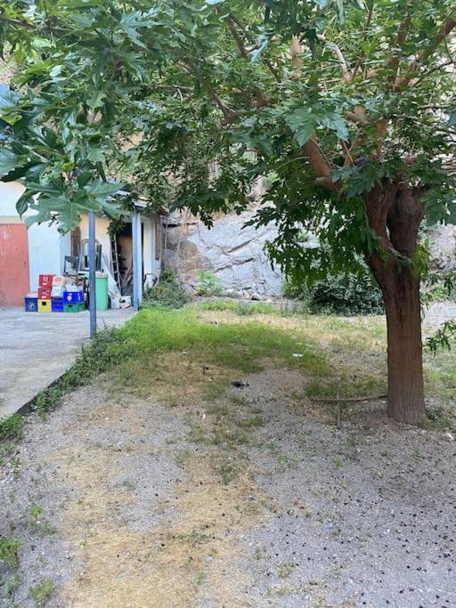Appt 4 Pers Avec Jardin Ombrage En Centre Ville De Sete Bagian luar foto