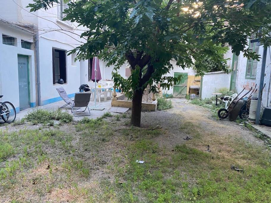 Appt 4 Pers Avec Jardin Ombrage En Centre Ville De Sete Bagian luar foto